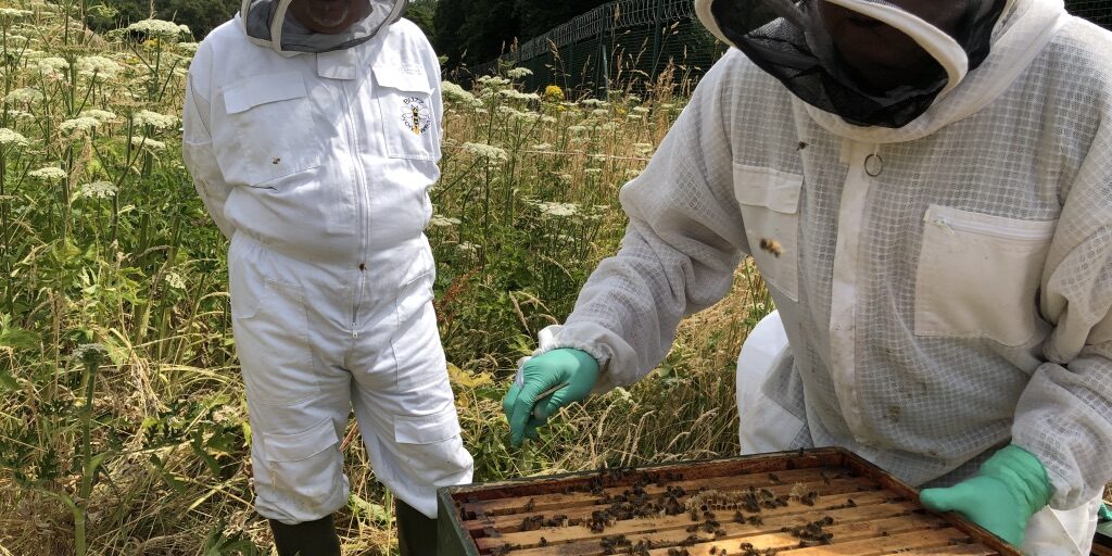 55890B59-3B4D-455F-B28C-EB238A178F41_1_105_c Mark checking the bee hive
