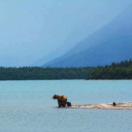 paxson-woelber-8IuAYIIzFMI-unsplash Alaska