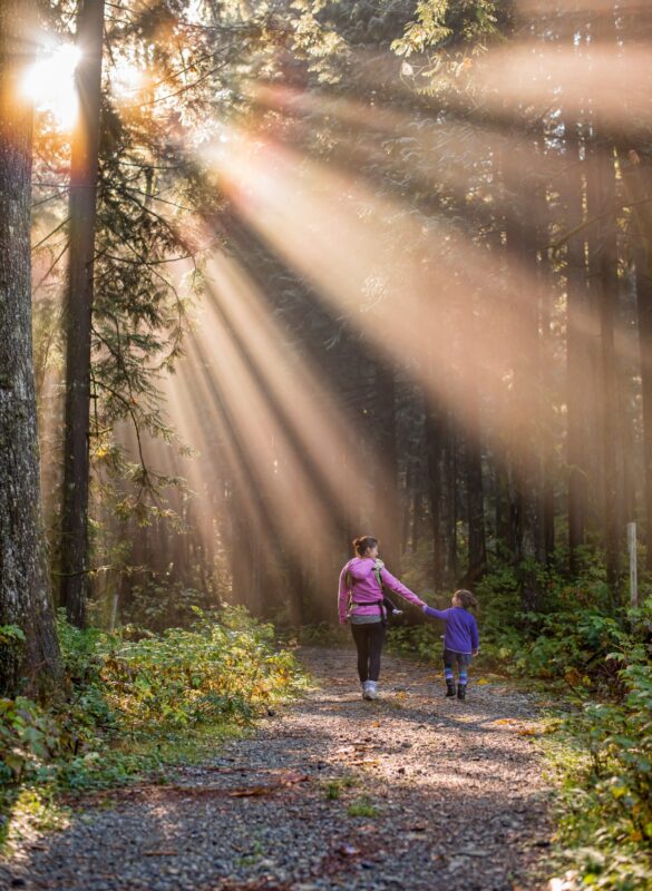 parent and child walking through a forest