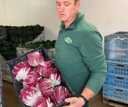 Chris holding the radicchio in a box