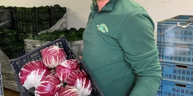 Chris holding the radicchio in a box