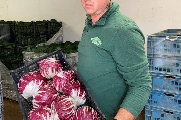 Chris holding the radicchio in a box