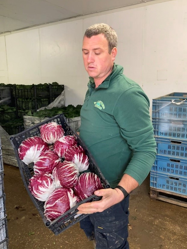 radicchio 2 Chris holding the radicchio in a box