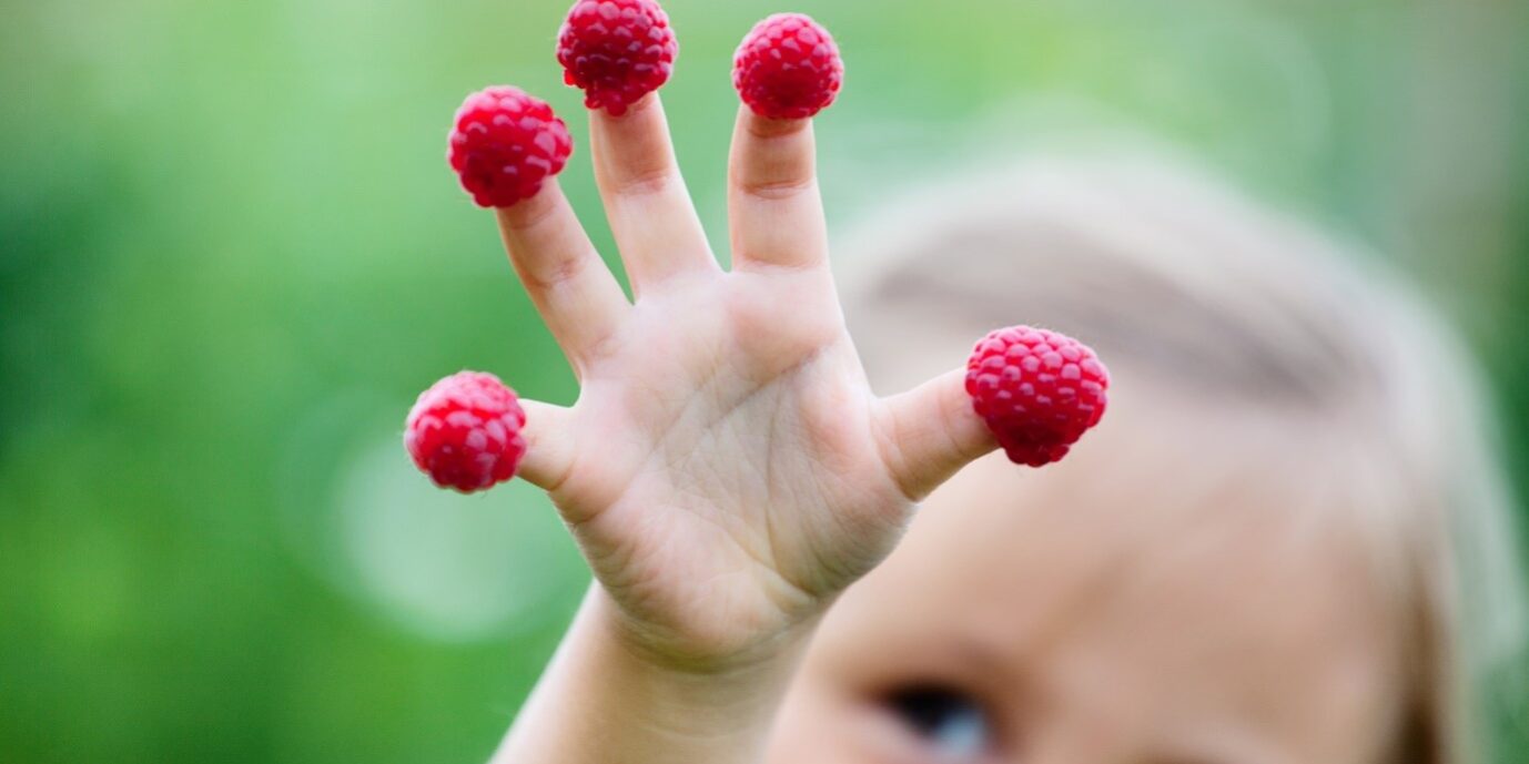 Raspberry fingers