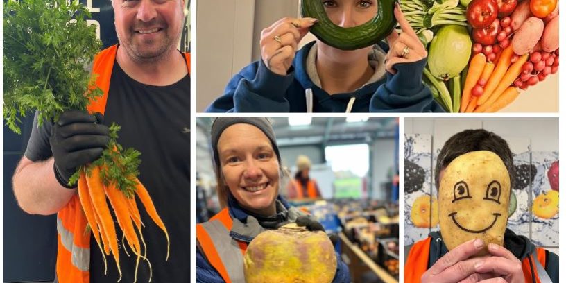 healthy eating image