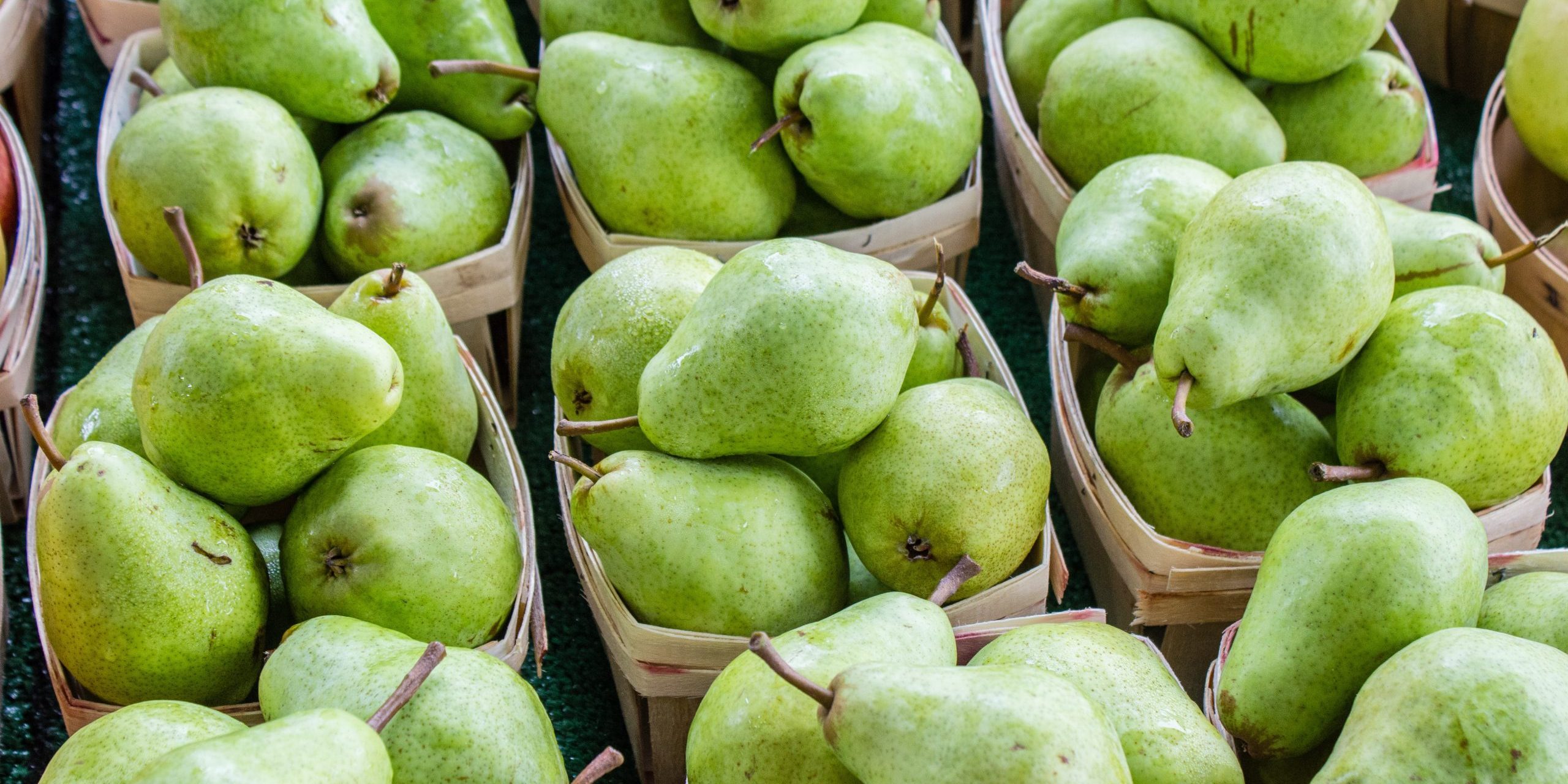 jonathan-mast-RW6Wz9QaoKk-unsplash