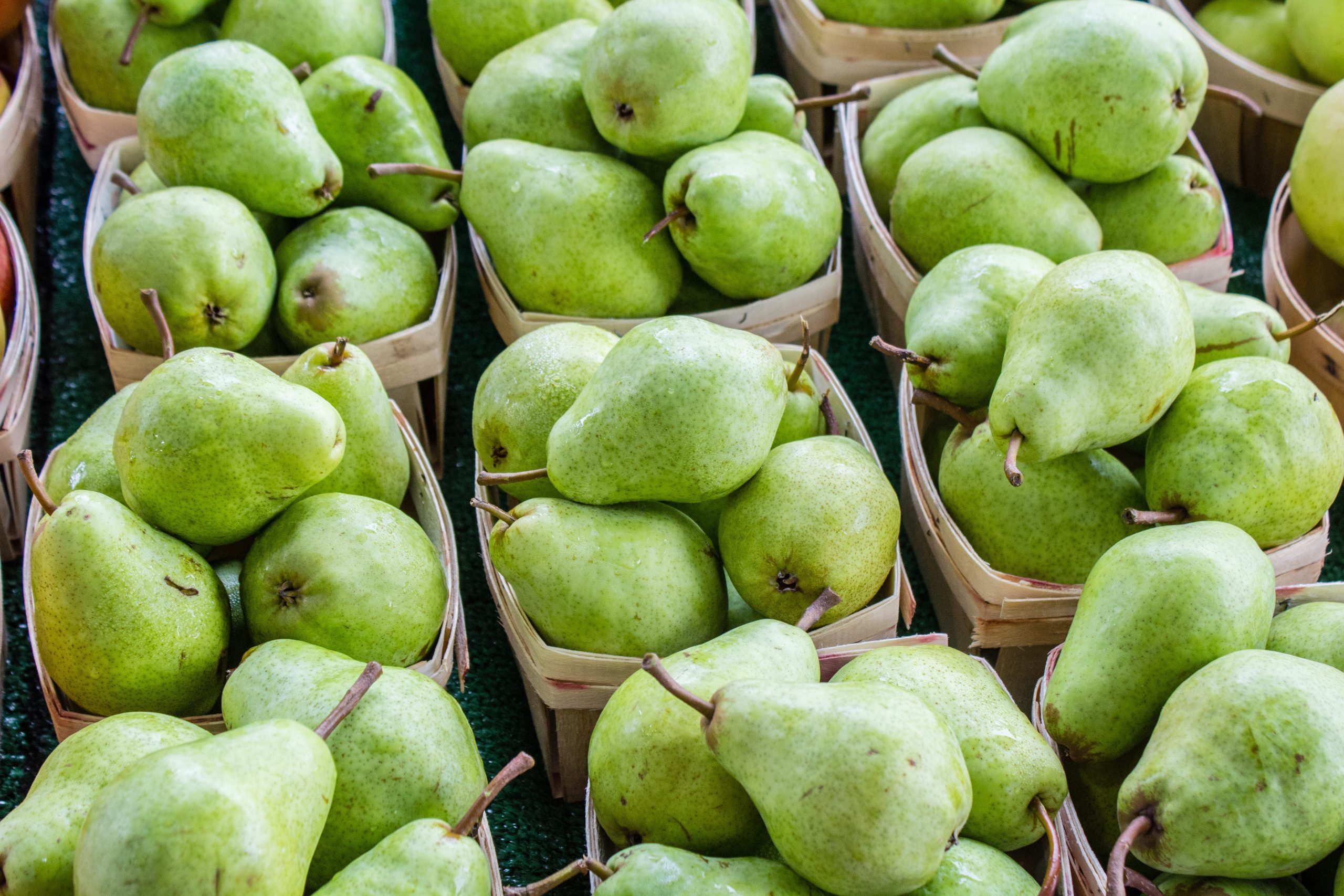 Comice Pears Information and Facts