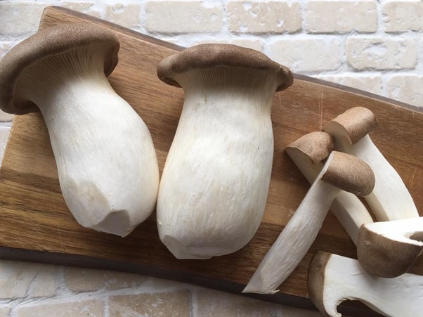 King Oyster Mushrooms