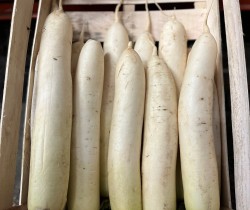 Image by Emma of Mooli