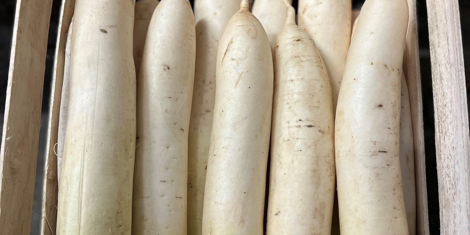 5 Image by Emma of Mooli