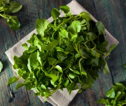 Green Watercress