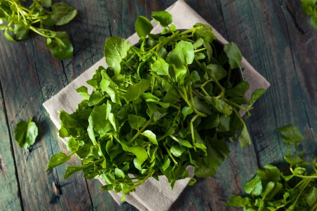 Green Watercress Green Watercress
