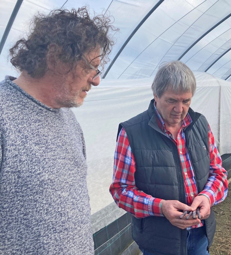 Ken and Marco Pierre White in the asparagus houses