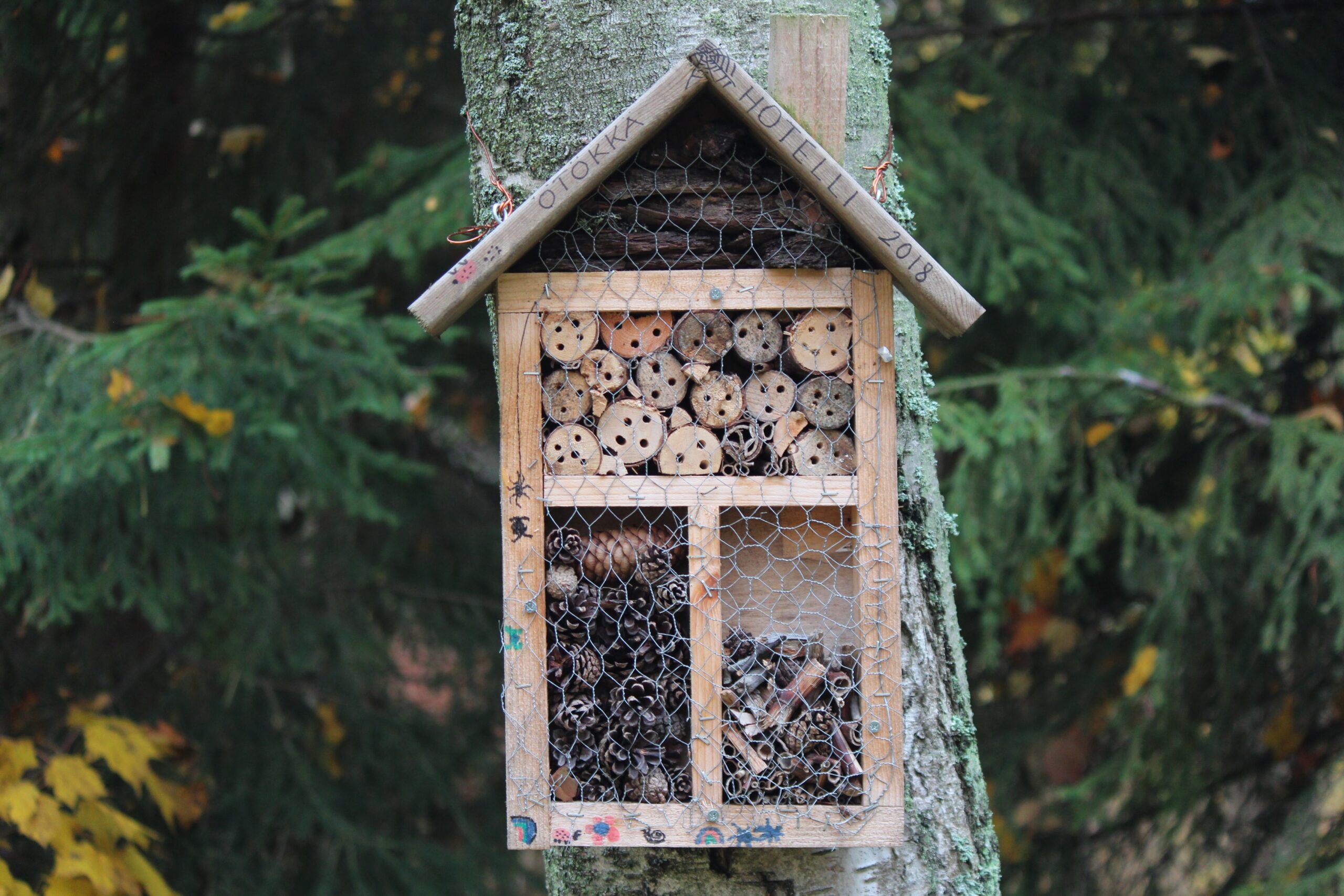 bug hotel