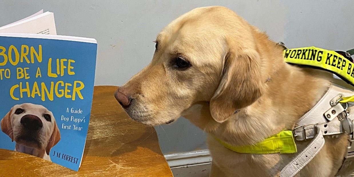 Born to be a life changer A guide dog reading the Born to be a life changer book