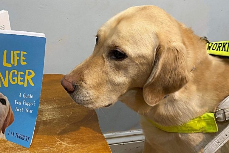 A guide dog reading the Born to be a life changer book