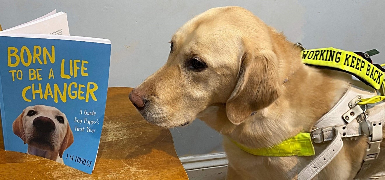 A guide dog reading the Born to be a life changer book