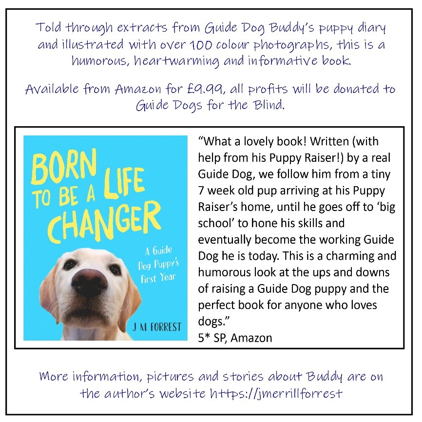 Information about the born to be a life changer book - Told through extracts from Guide dog Buddy's puppy diary and illustrated with over 100 colour photographs, this is a humorous, heartwarming and informative book. All profits will be donated to Guide Dogs for the Blind.