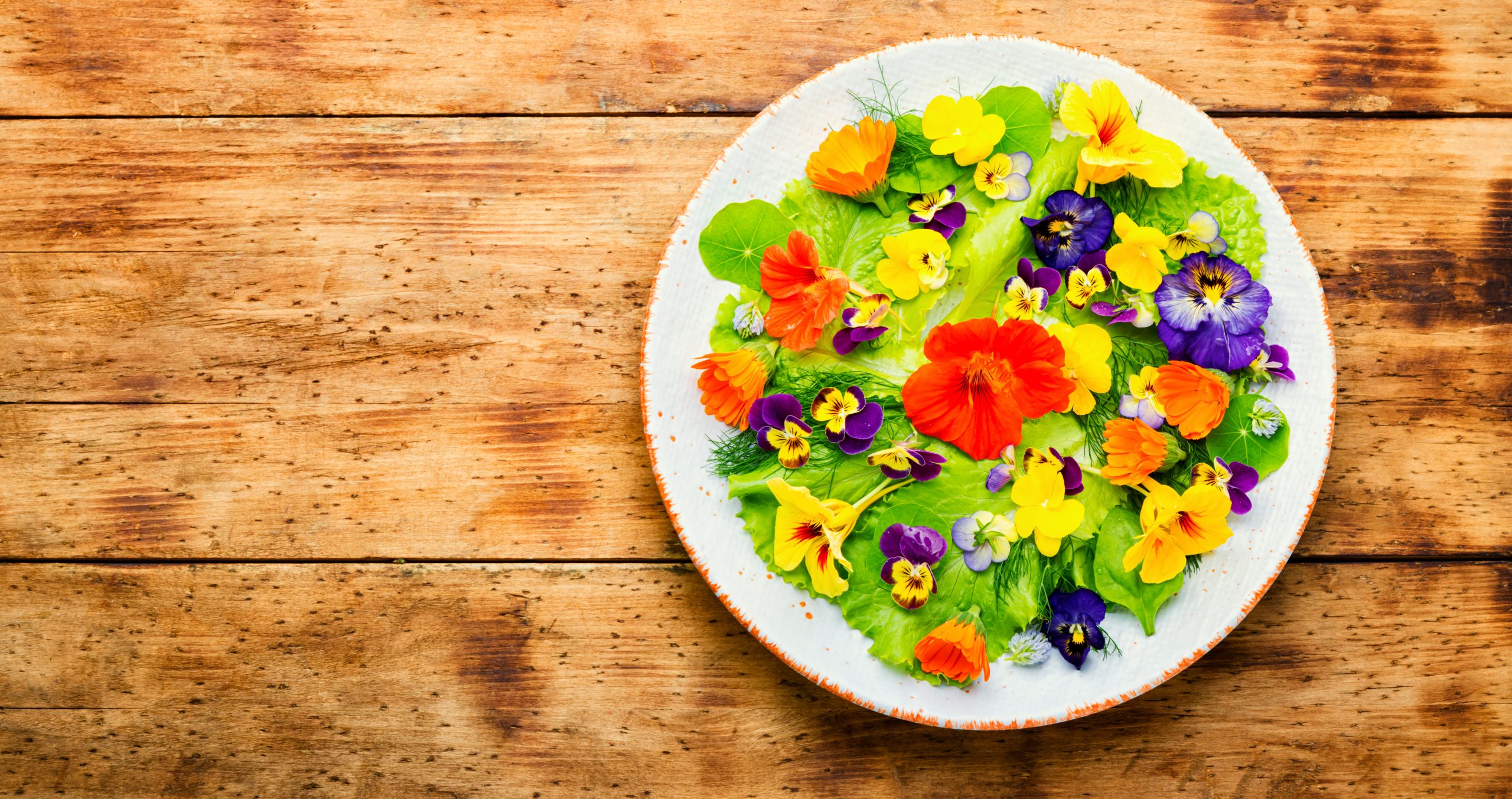 Edible flower salad in the plate,space for text