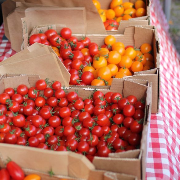 Assorted tomatoes in boxes