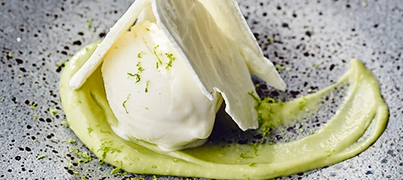 avocado ice cream