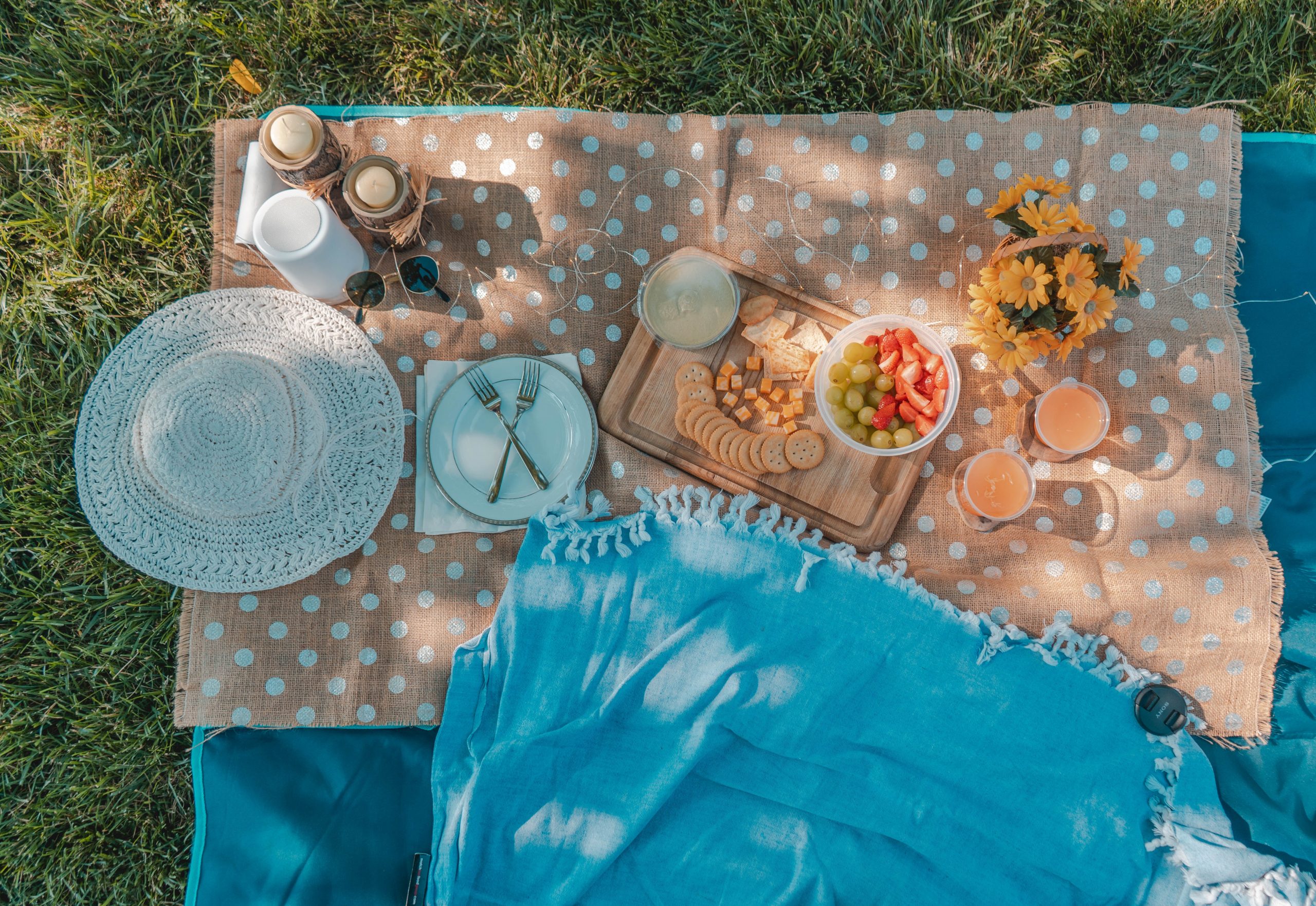 picnic set on a blanket