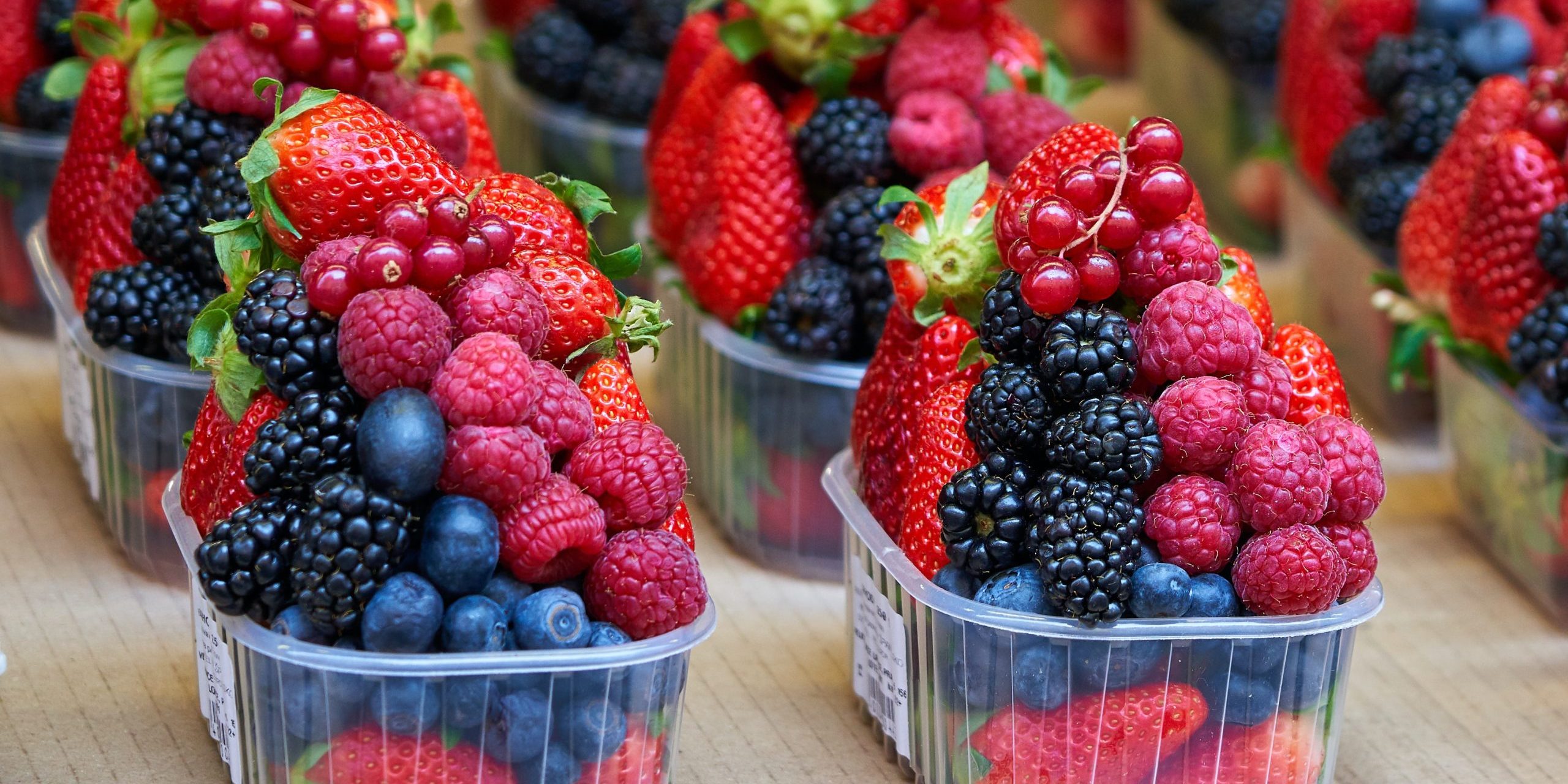 timo-volz-pYpnKA52a-A-unsplash