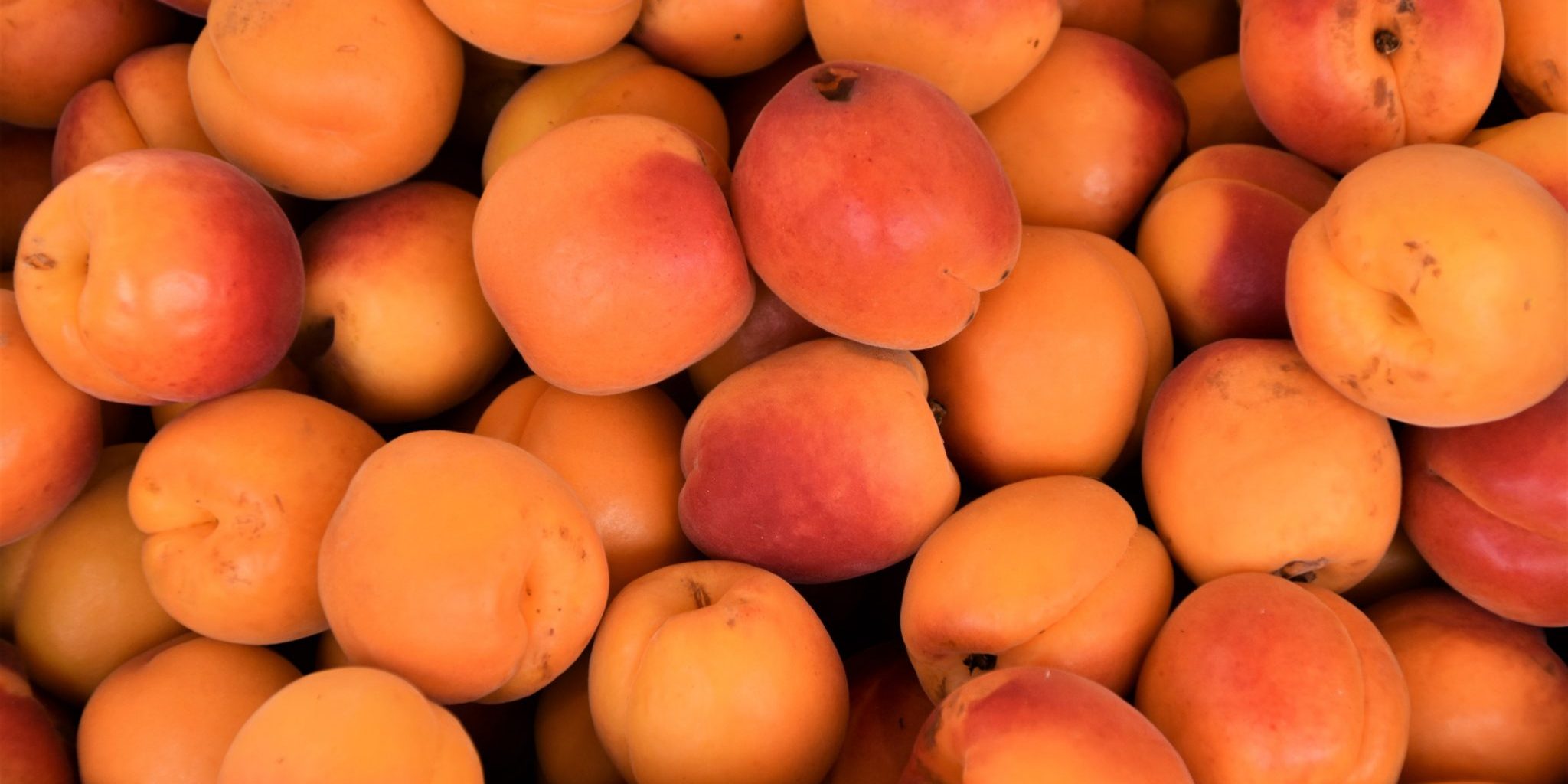 waldemar-brandt-5Y-3KXqZzFY-unsplash-2048×1365