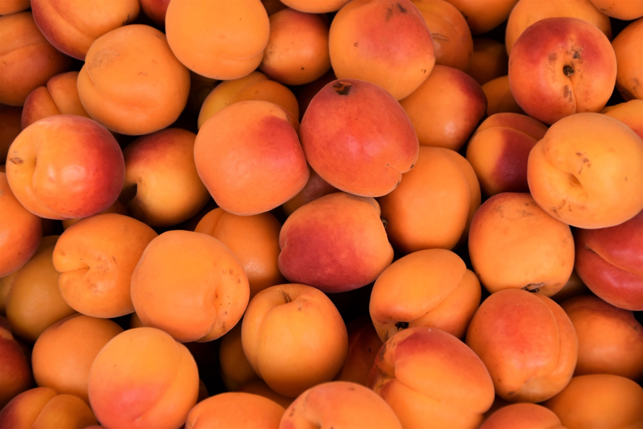 waldemar-brandt-5Y-3KXqZzFY-unsplash Apricots