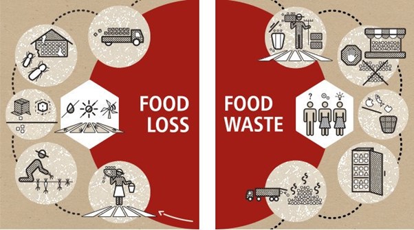 Food waste