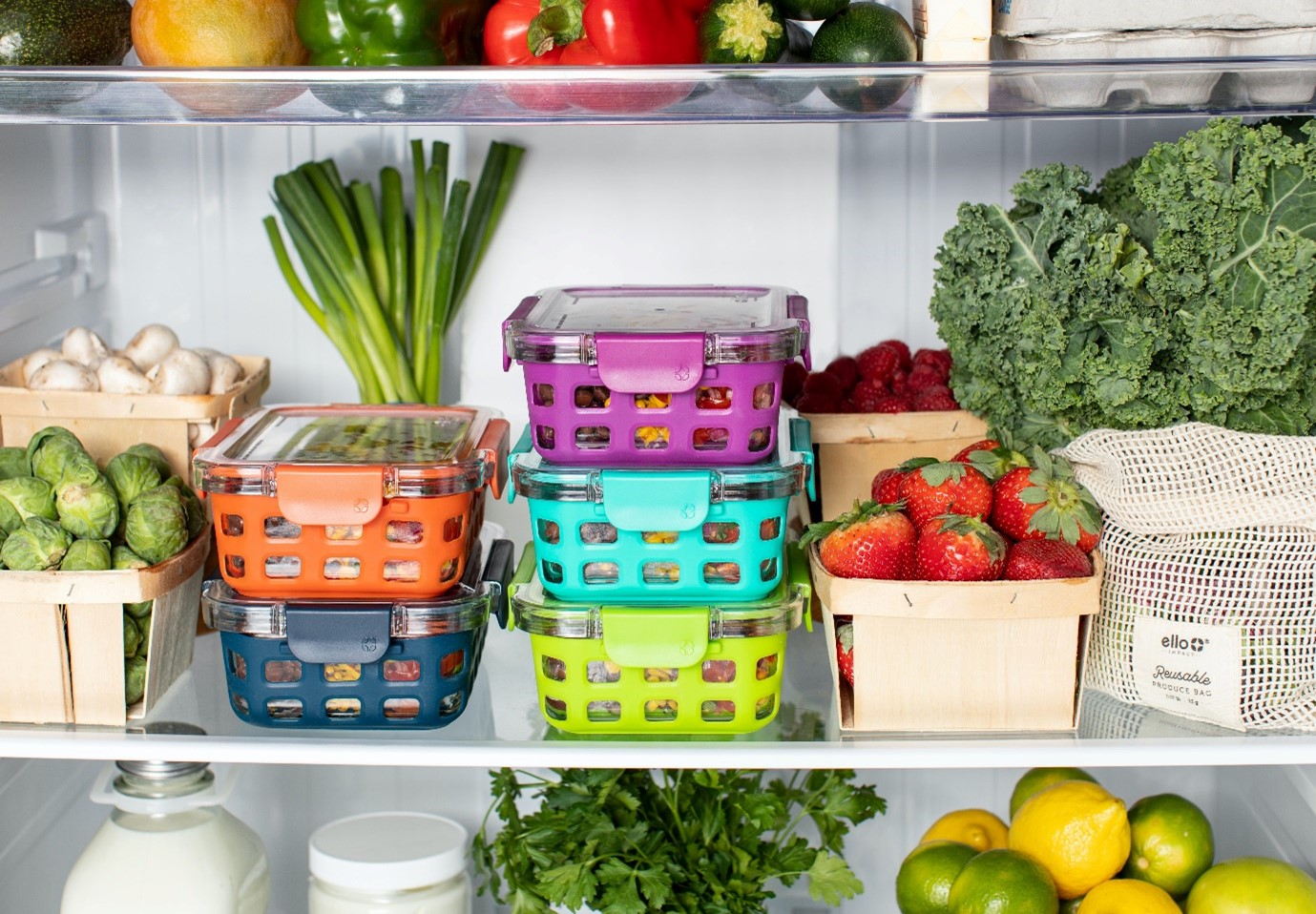 Inside of a fridge