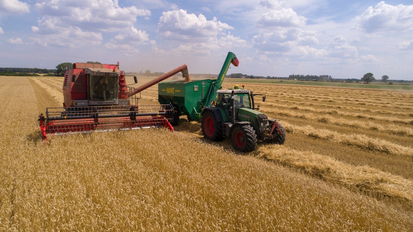 harvesting