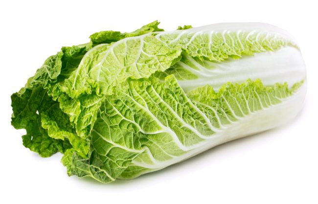 Chinese cabbage