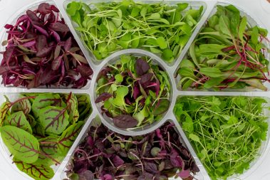 Micro herbs and edible flowers