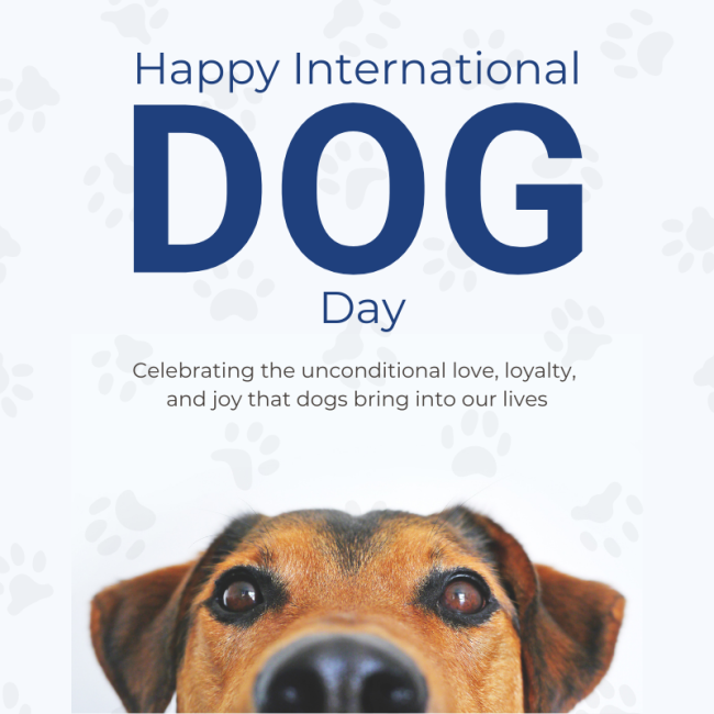 White And Brown Minimalist International Dog Day Instagram Post