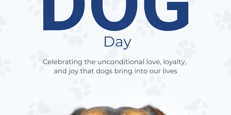 White And Brown Minimalist International Dog Day Instagram Post