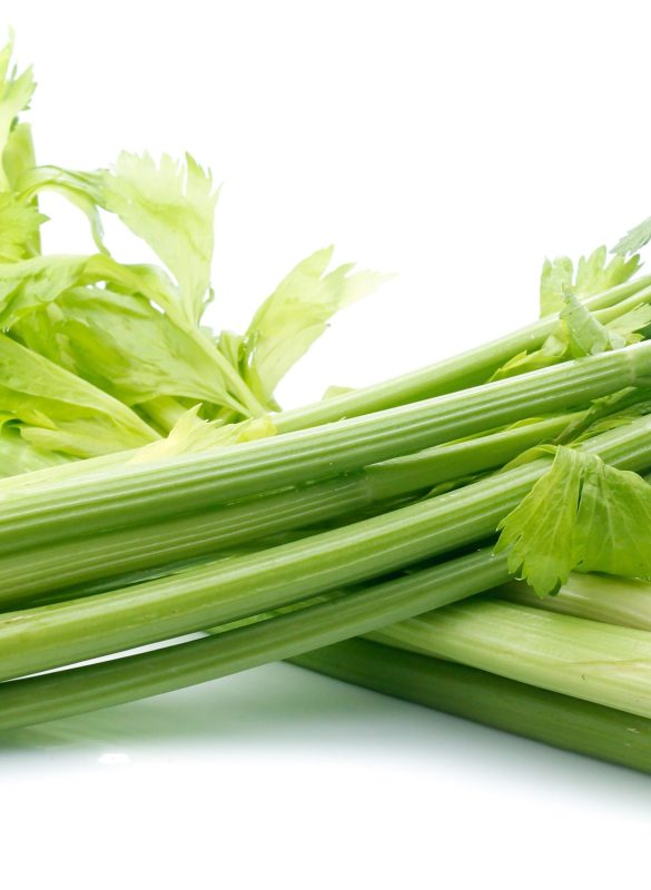 fresh celery isolated on white background