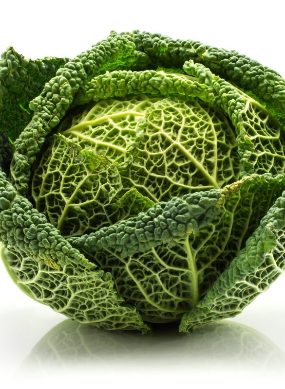 One savoy cabbage isolated on white background fresh green head