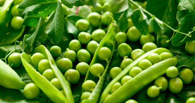 2419 Green peas in the pod(40).jpg