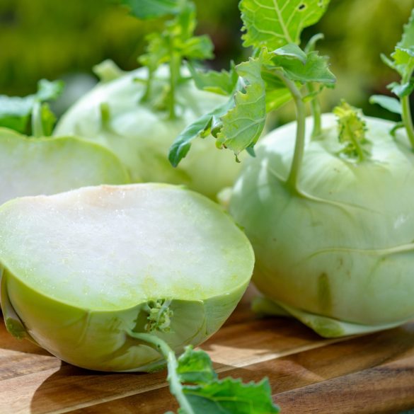 Heads of fresh ripe bio white cabbage kohlrabi from organic farm, close up