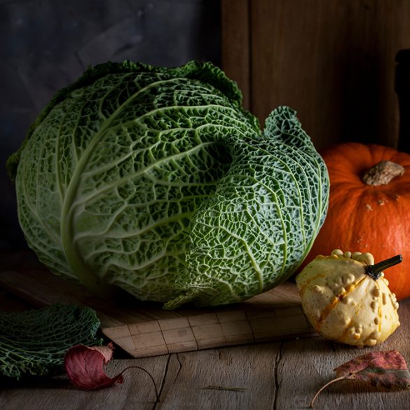 Savoy cabbage and pumpkins on a wooden table