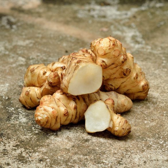 Jerusalem artichoke on  old cement  background