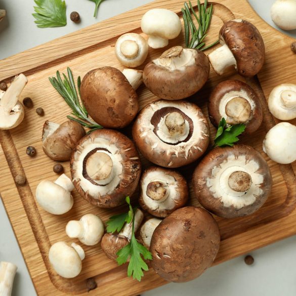 Concept of tasty food with champignon on white