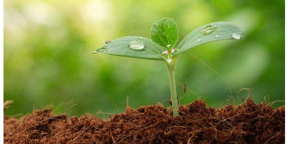 Sustainability Snapshot Sustainability Snapshot