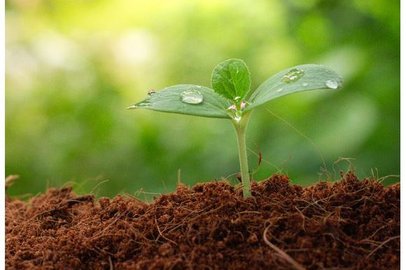 Sustainability Snapshot