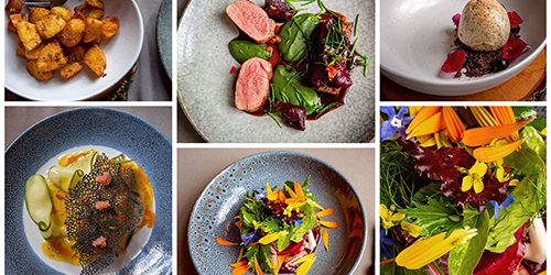 Collages Of Delicious food