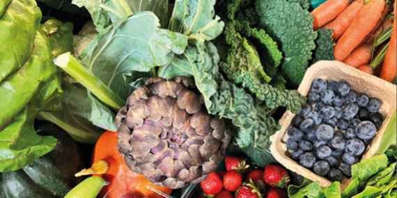 Screenshot 2024-08-01 095046