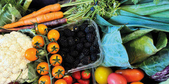 Screenshot 2024-08-01 095419