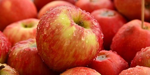 apples