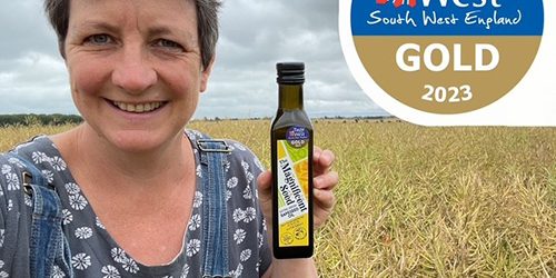 thumbnail_image12web